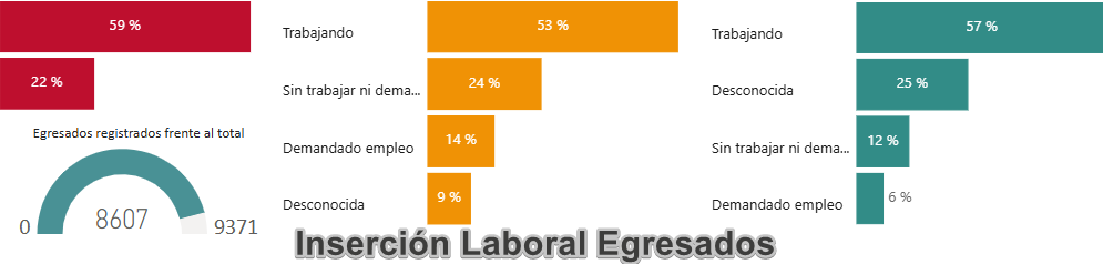 inserción laboral egresados